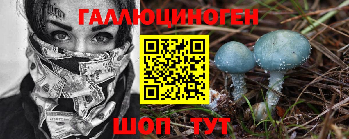 Псилоцибиновые грибы GOLDEN TEACHER Куйбышев
