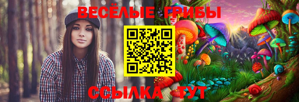 Псилоцибиновые грибы Psilocybine cubensis  Вход с VPN  наркотики  Куйбышев 